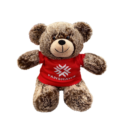 Fanshawe Teddy Bear